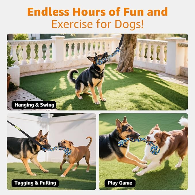 Bungee cord outdoor dog toy tether for hanging from trees, with chew rope for tugging.