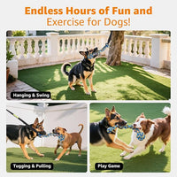 Bungee cord outdoor dog toy tether for hanging from trees, with chew rope for tugging.