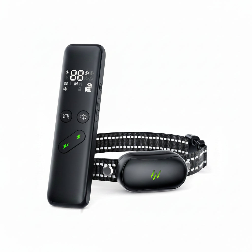 Outdoor Dog Training Accessory With Wireless Remote Function