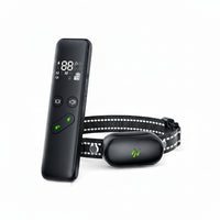 Outdoor Dog Training Accessory With Wireless Remote Function