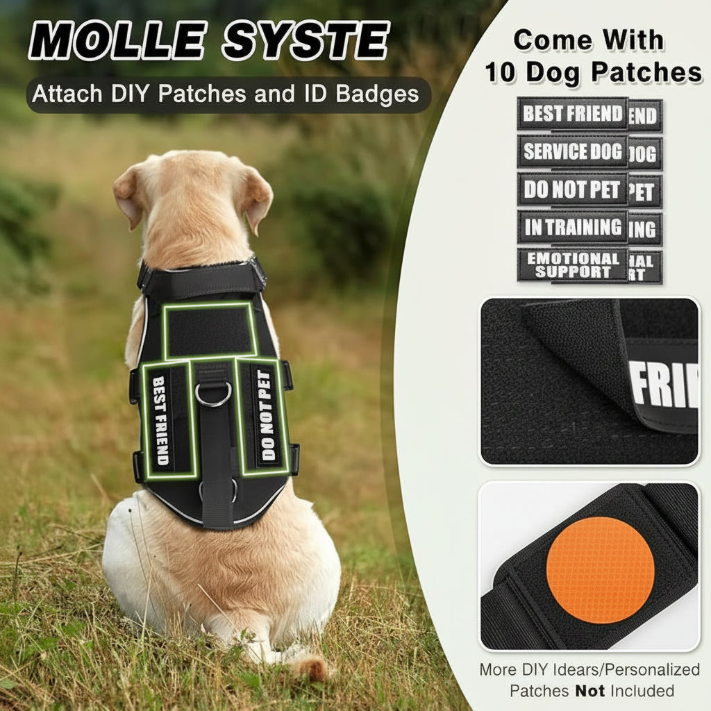 Outdoor Dog Training Harness With Adjustable Vest Design
