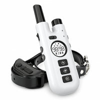 Outdoor Dog Training Tool with Long Distance Remote Control