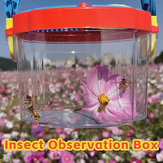 Outdoor Nature Explorer Kit Turtle Carrier Box for Collecting Bugs and Small Animals