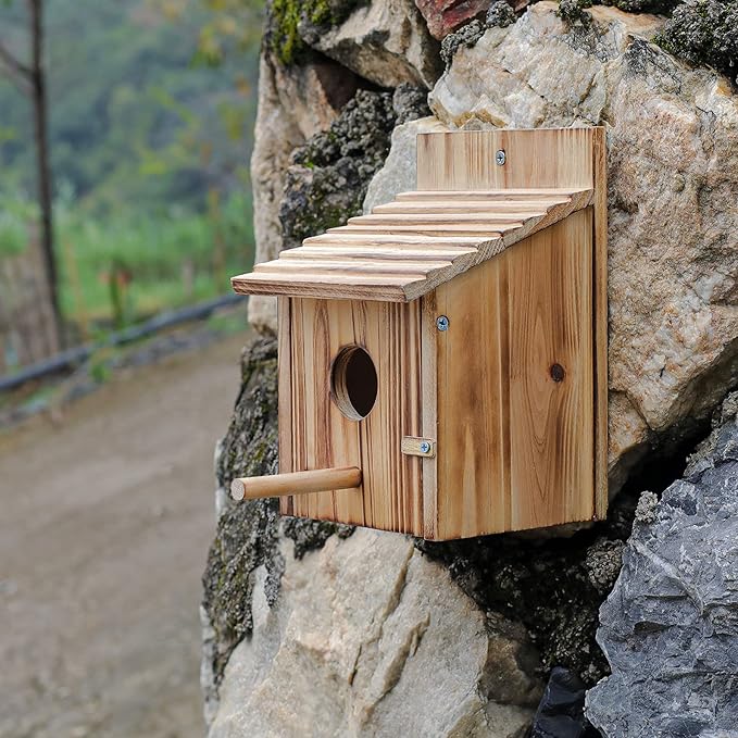 Outdoor wooden bird house with hanging and pole placement option for small birds.