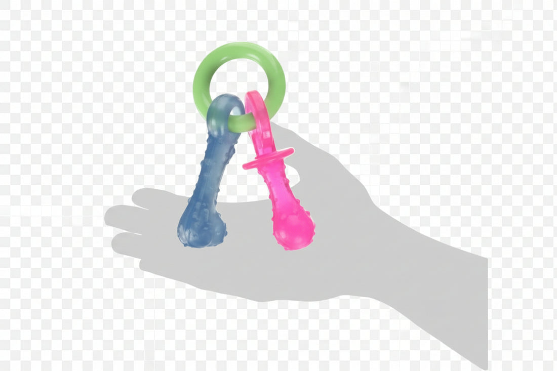 Pacifier-shaped dog play toy with bacon-style flavour