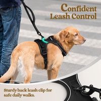 Padded sections on a black dog walking harness