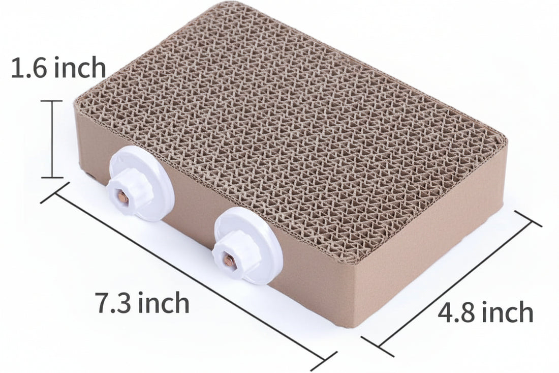 Front view of a paper bird toy platform