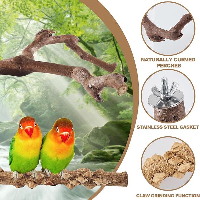 Natural wood perch set for small birds cage use