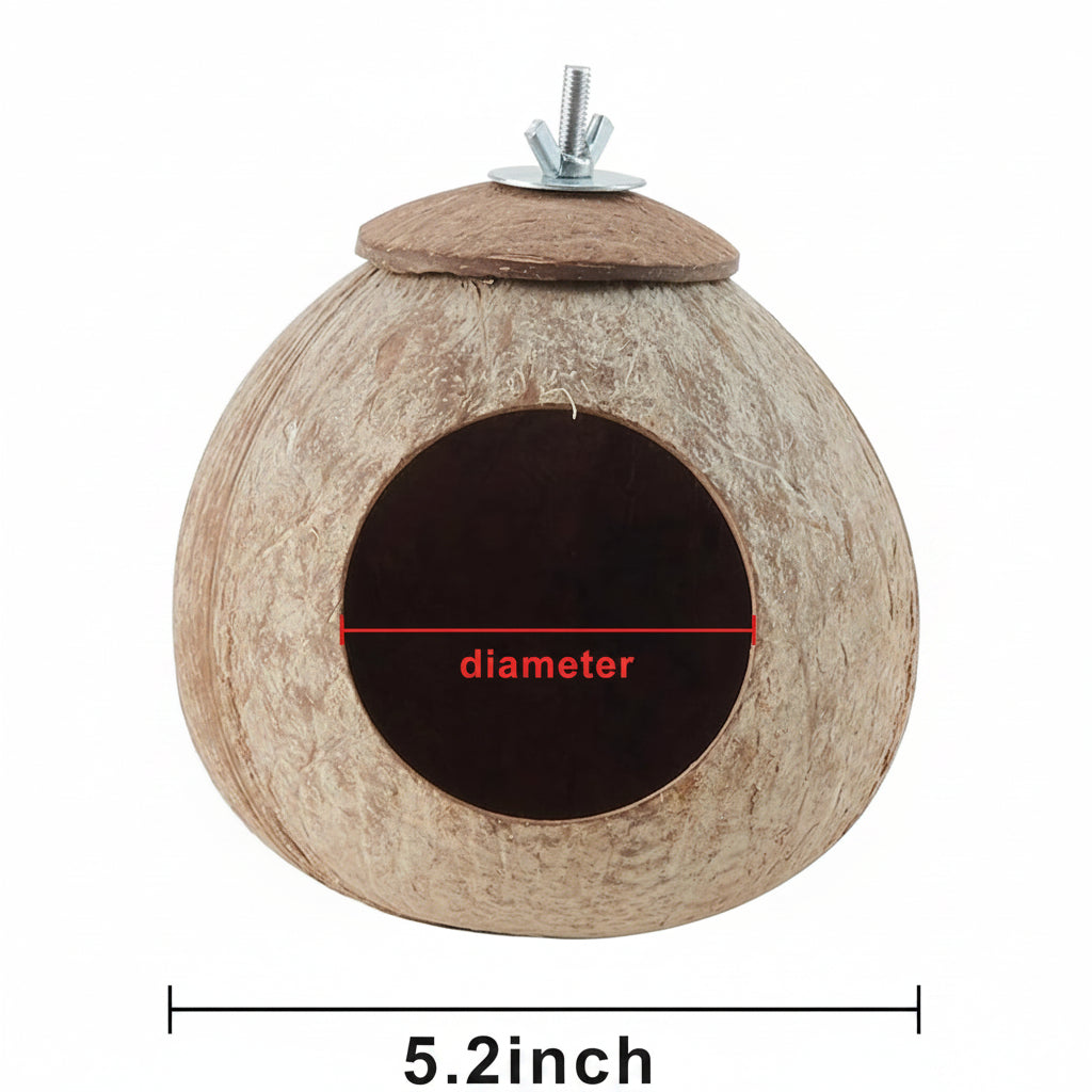 Parakeet Hiding Hut With Coconut Shell Bird House Design