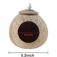 Parakeet Hiding Hut With Coconut Shell Bird House Design