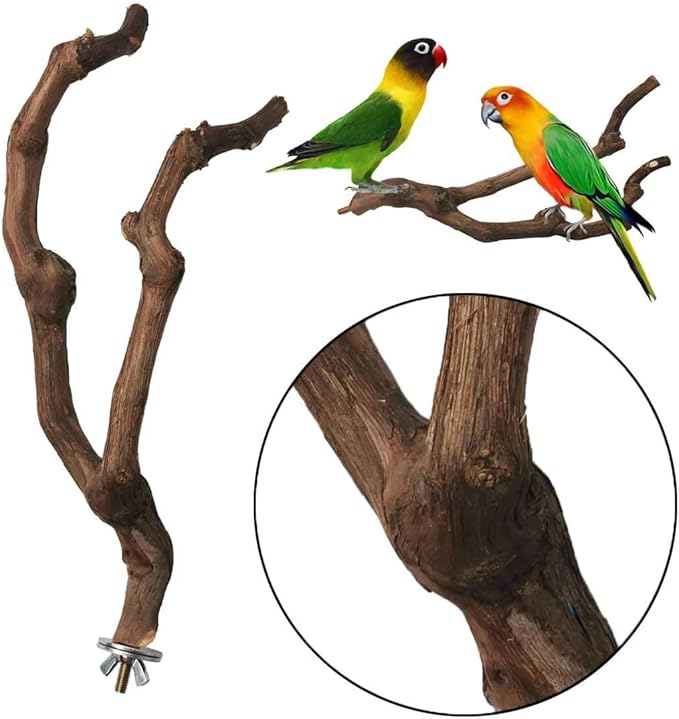 Natural wood perch set for budgies cockatiels and lovebirds