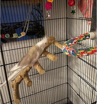 Parrot Bridge Ladder Perch – Promotes Exercise and Chewing for Birds and Small Pets