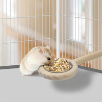 Parrot Feeding Perch Accessory for Budgies, Lovebirds and Conures