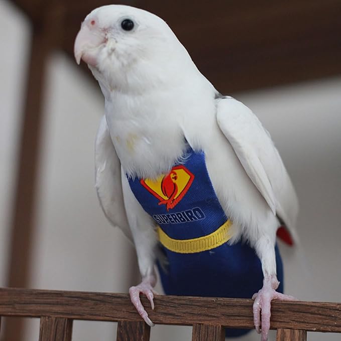 Parrot Flight Suit Diaper Blue Reusable Bird Diaper