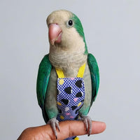 Parrot Harness Black Heart Design Vest