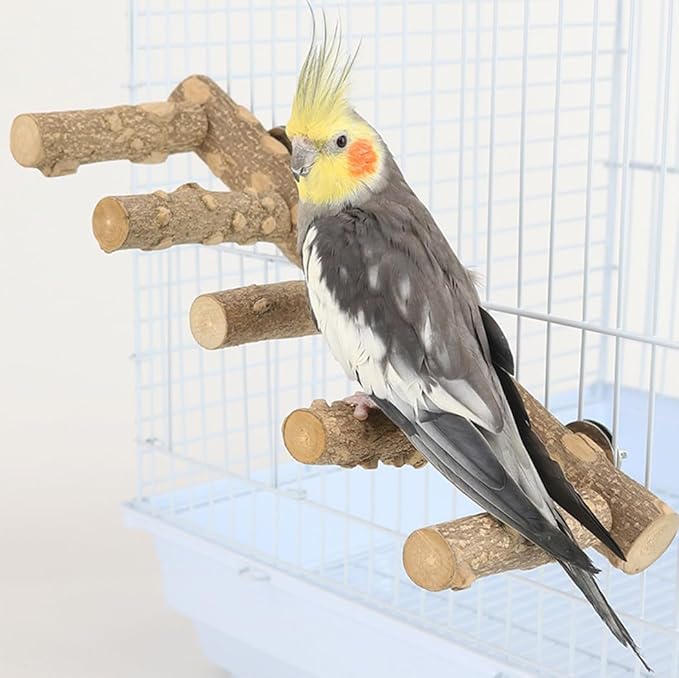 Parrot Ladder Perch for Cage – Natural Wooden Climbing Bridge and Chewing Toy for Small Birds