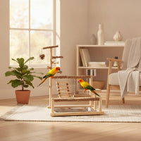 Parrot Stand with Removable Tray for Easy Cleaning
