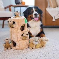 Pet activity plush toy for dogs with detachable squirrel pieces and squeaky sound