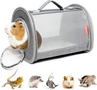 Small Pet Travel Carrier Bag for Lizards, Birds, and Guinea Pigs in Gray