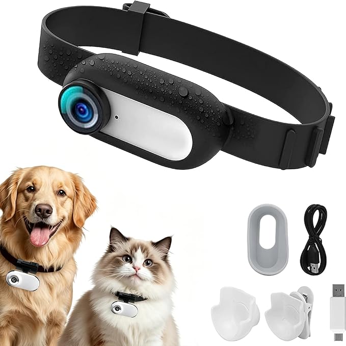 Pet collar camera HD 1080P for cats and small pets