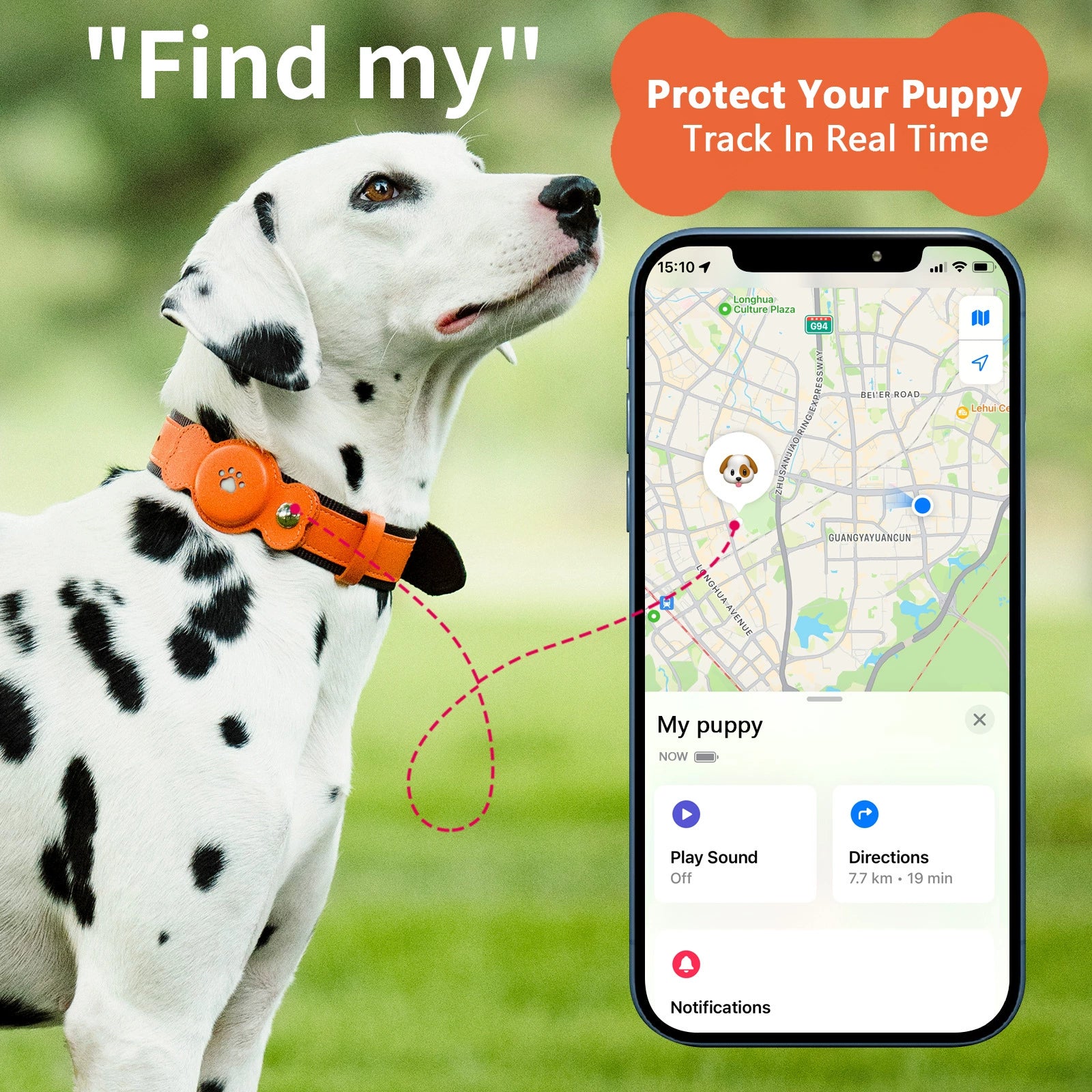 Pet collar cover holder secure collar attachment