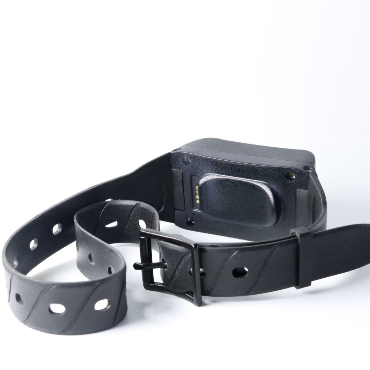 Closeup view of pet collar device for dogs