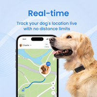 Pet Collar Outdoor Accessory with Smart Location Tag for Dogs