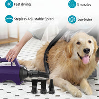 Pet Hair Dryer With Nozzle Attachments For Grooming
