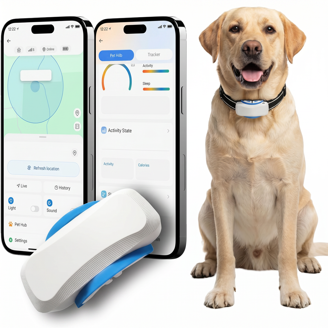 Pet location tag with app-based activity view