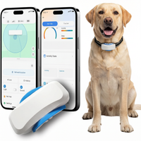 Pet location tag with app-based activity view