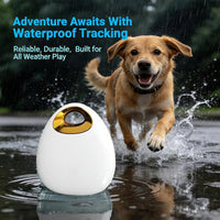 Black pet location tag for collar attachment