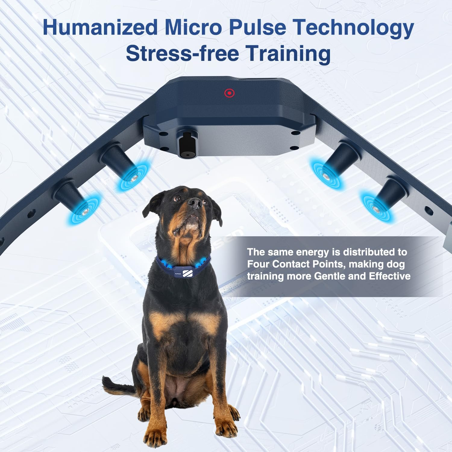 pet training collar with remote control for dogs