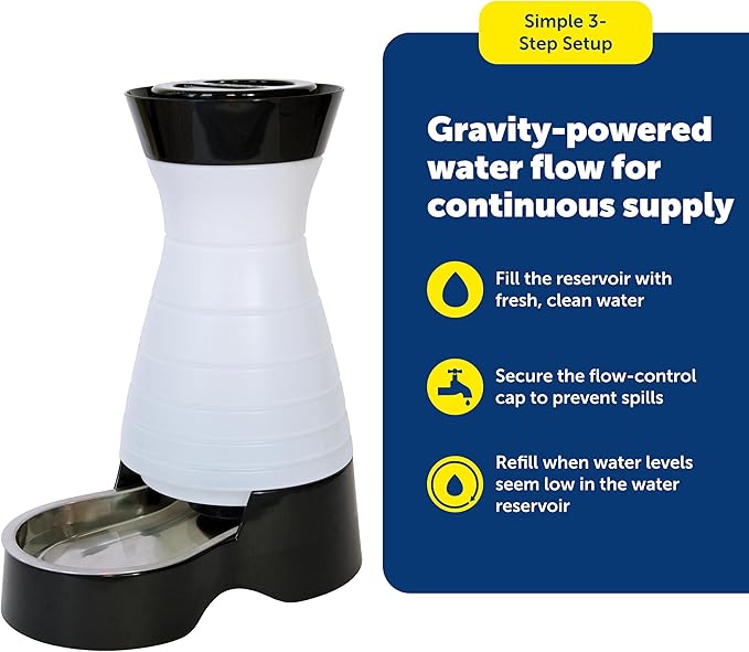 Front view of a gravity-style pet water dispenser