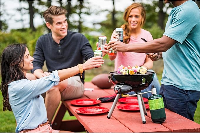 Picnic dinnerware set with plates, bowls, and cups for outdoor gatherings