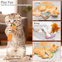 Plush Catnip Toy Soft Safe Chew Toy for Cats