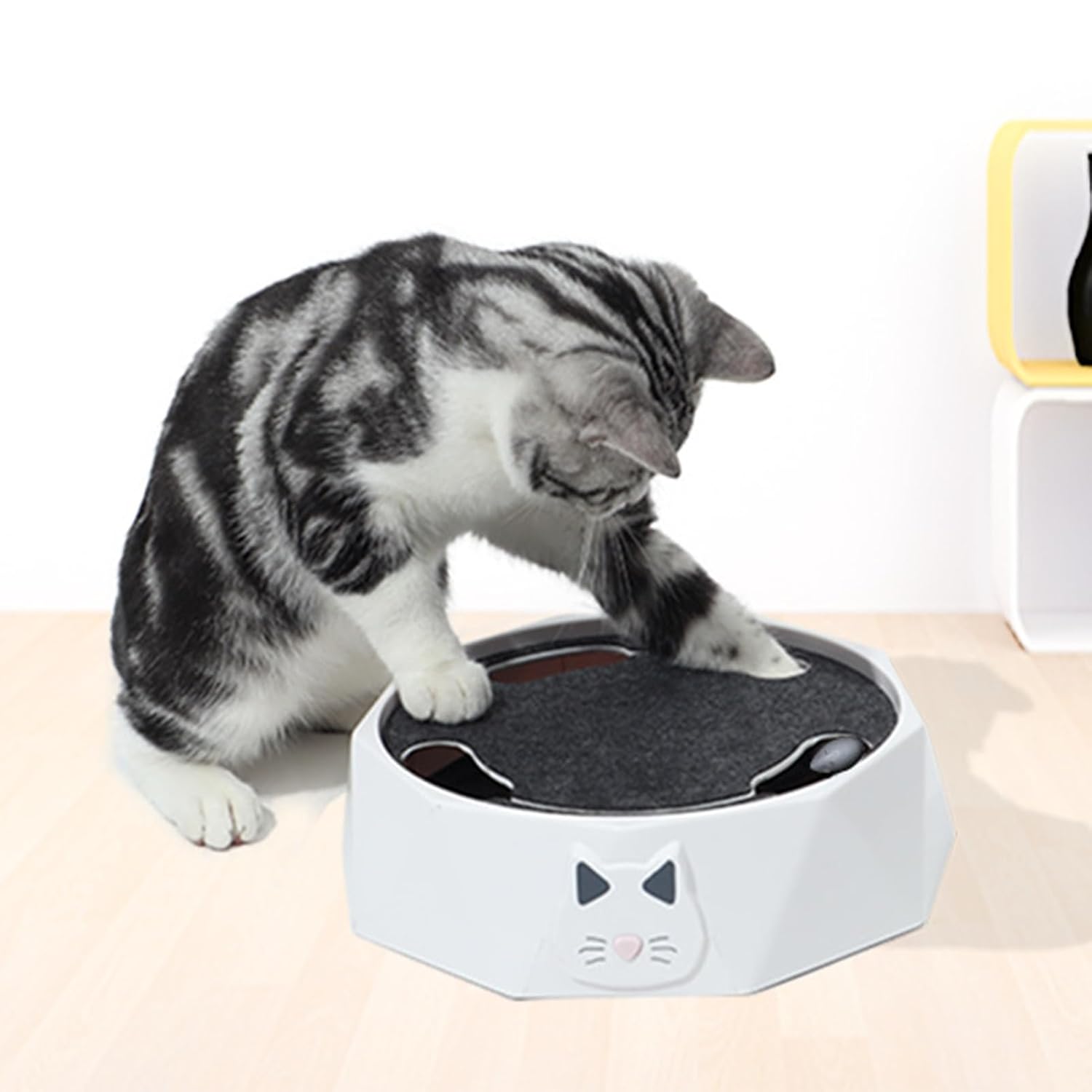 Plush Mouse Cat Toy for Interactive Indoor Play