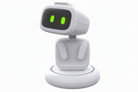 Portable AI companion robot for everyday interaction