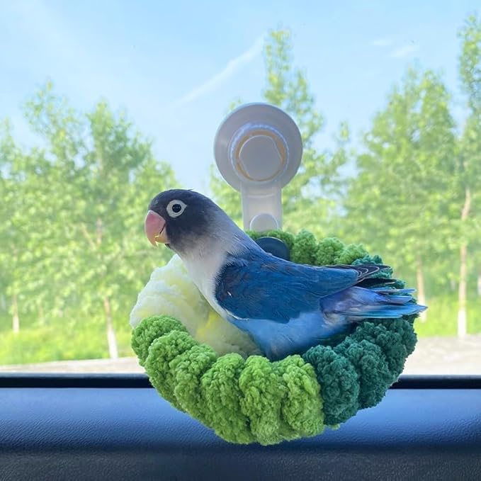Portable Bird Perch with Suction Cup Window Mount