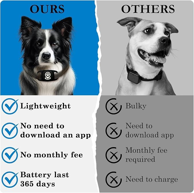  Portable dog collar accessory for secure attachment