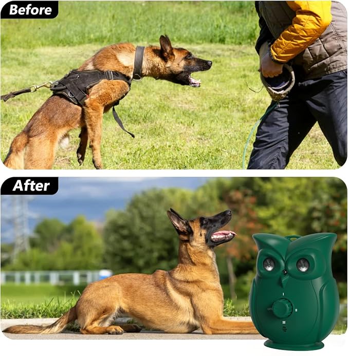 Portable Dog Training Tool for Indoor and Outdoor Activities