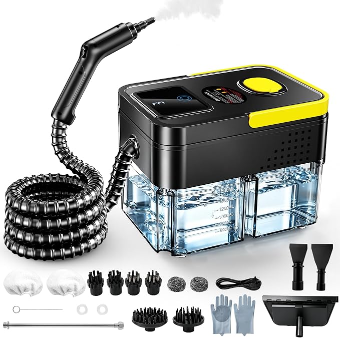 Portable handheld steam cleaner with adjustable steam levels