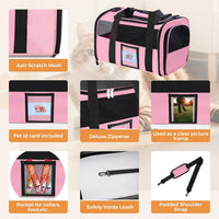 Portable Kitten Carrier Bag For Pet Transportation