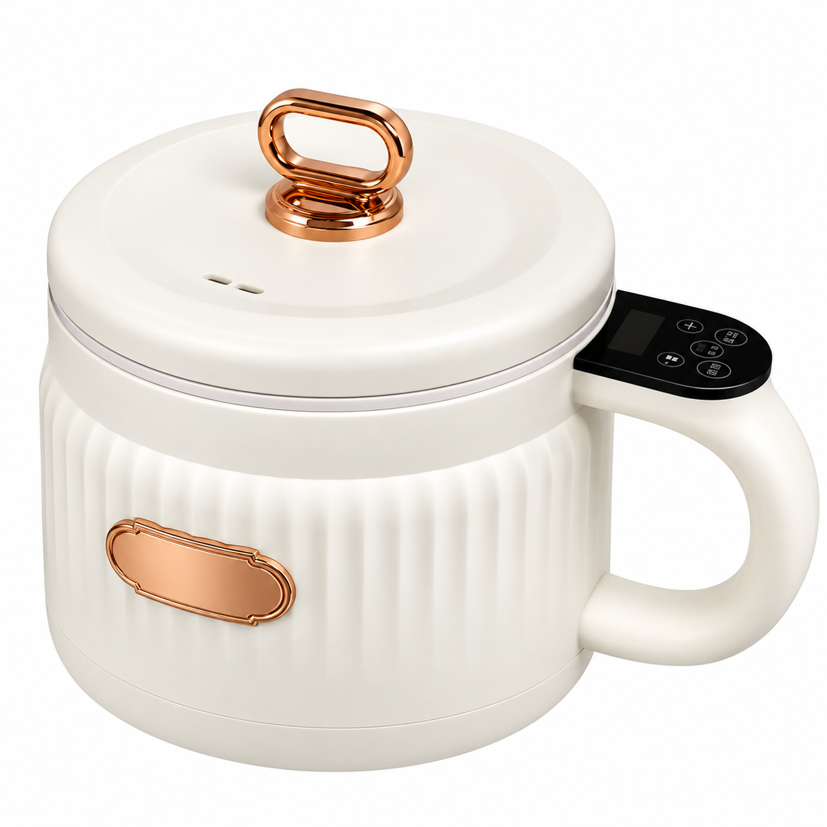 Compact electric multi-function cooker with lid and side handle
