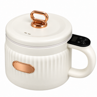 Compact electric multi-function cooker with lid and side handle
