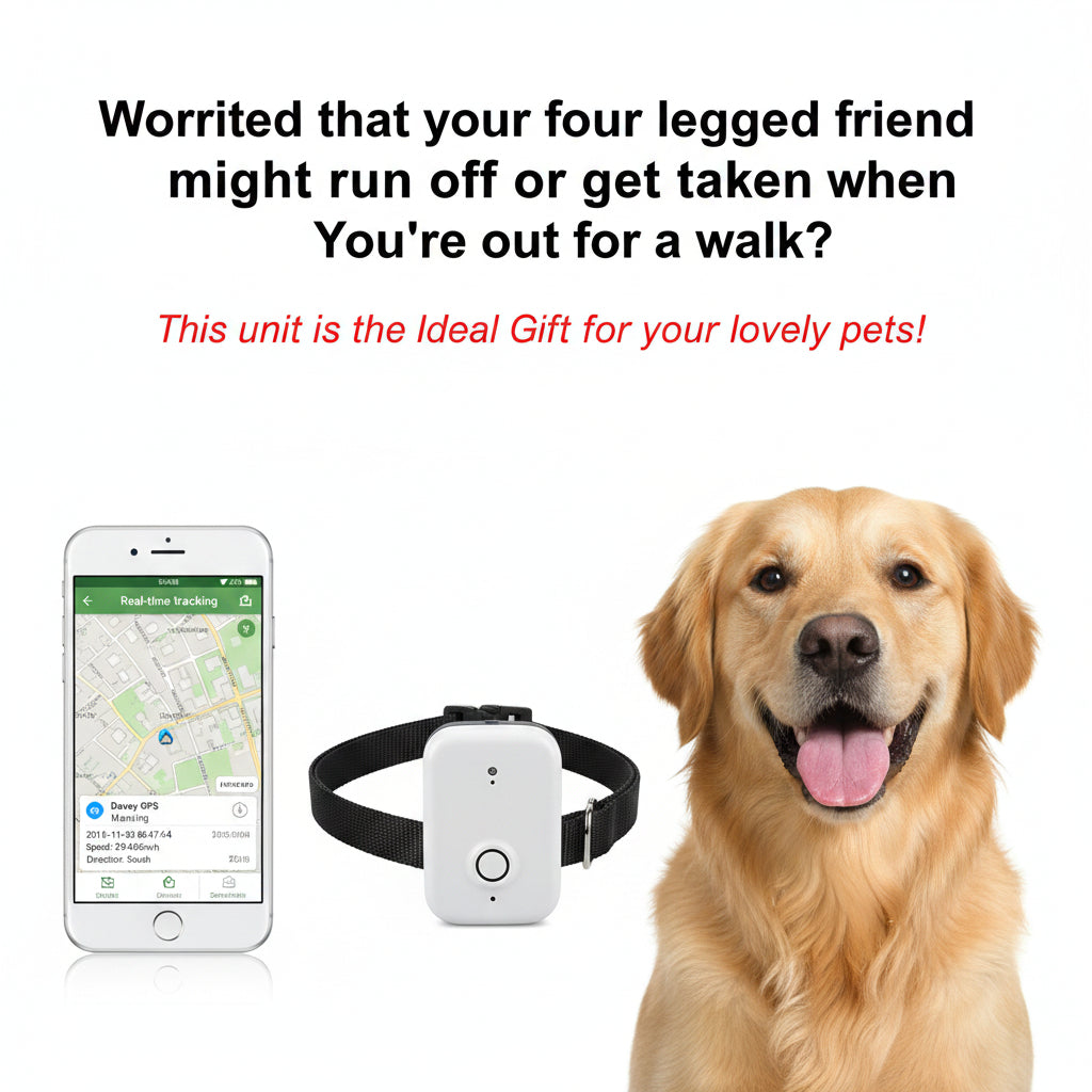 Portable pet collar holder for everyday use with lightweight adjustable design
