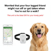 Portable pet collar holder for everyday use with lightweight adjustable design