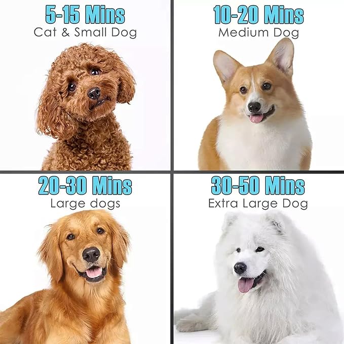 Portable pet hair dryer blower for grooming dogs and cats