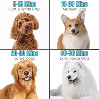 Portable pet hair dryer blower for grooming dogs and cats