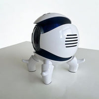 Portable Speaker Supporting USB AUX And TF Card Playback Options