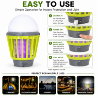 Portable tent lantern with mosquito control function